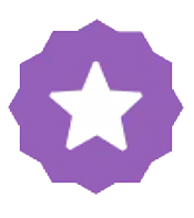 etsy starseller badge stand